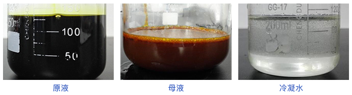 MMV水質實驗測試對比圖 MMV水質實驗測試對比圖